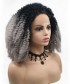 Invisilace 1B Gray Ombre Synthetic Lace Front Wigs Afro Kinky Curly Wig