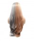 Invisilace Ombre Half Pink Half Gray Straight Synthetic Lace Front Wigs